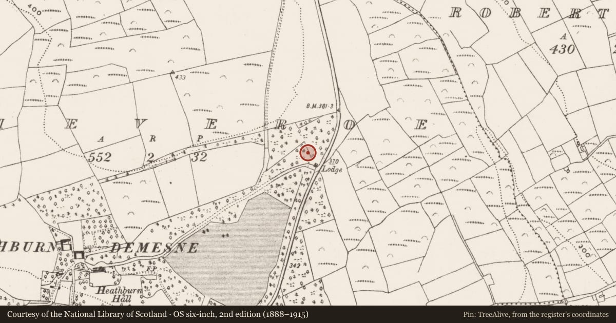 Ordnance Survey six-inch map, 2nd edition (1888–1915) covering the location of Quarry, Slieveroe, County Cork, with a pin at the register's coordinates