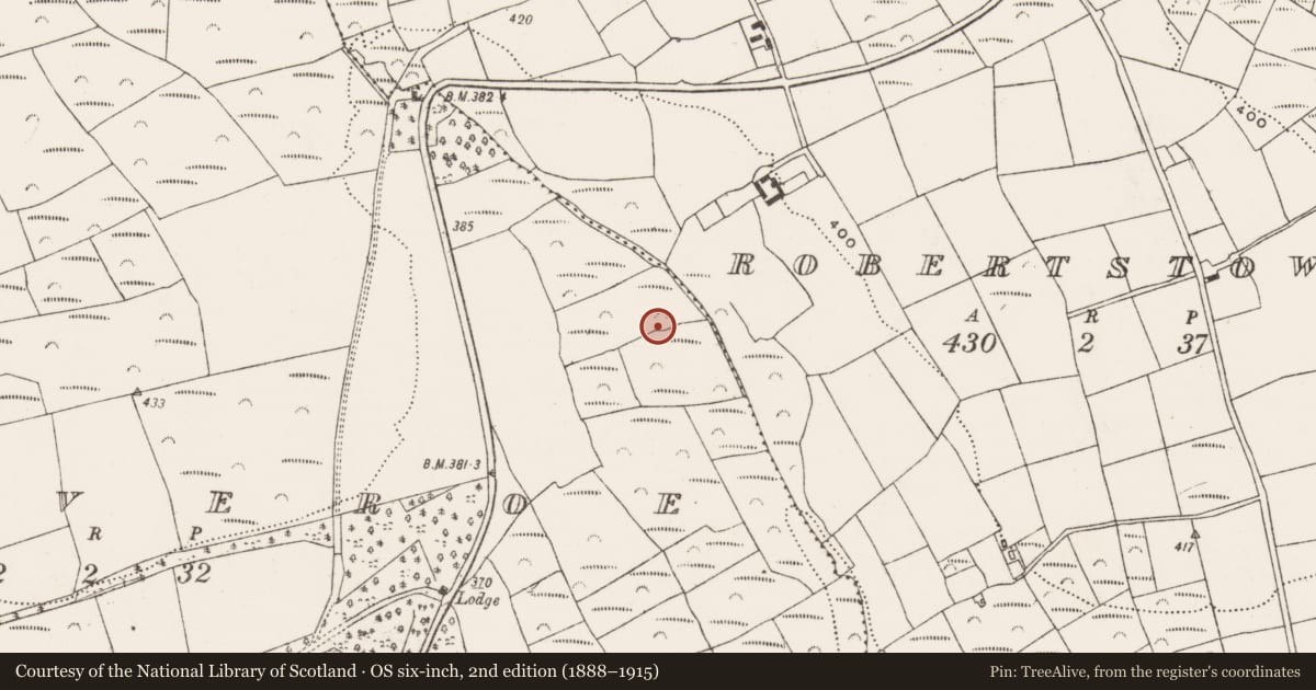 Ordnance Survey six-inch map, 2nd edition (1888–1915) covering the location of Ringfort - rath, Slieveroe, County Cork, with a pin at the register's coordinates