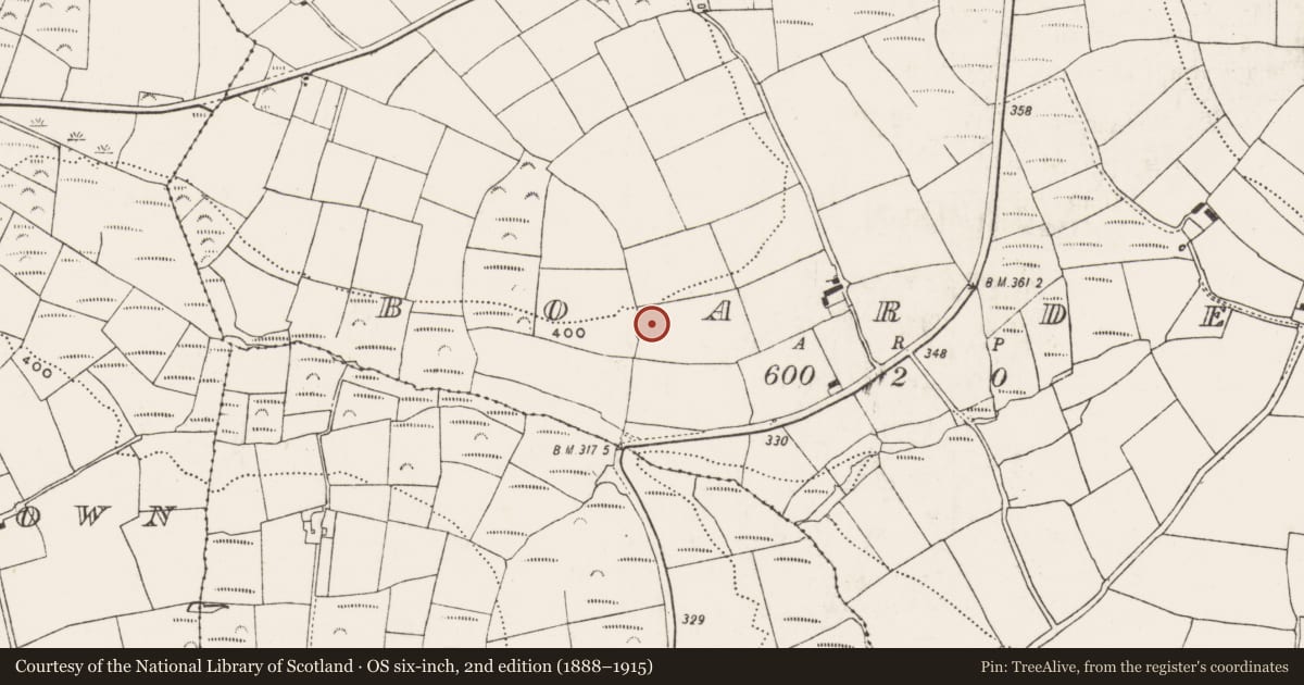 Ordnance Survey six-inch map, 2nd edition (1888–1915) covering the location of Ringfort - rath, Boardee, County Cork, with a pin at the register's coordinates