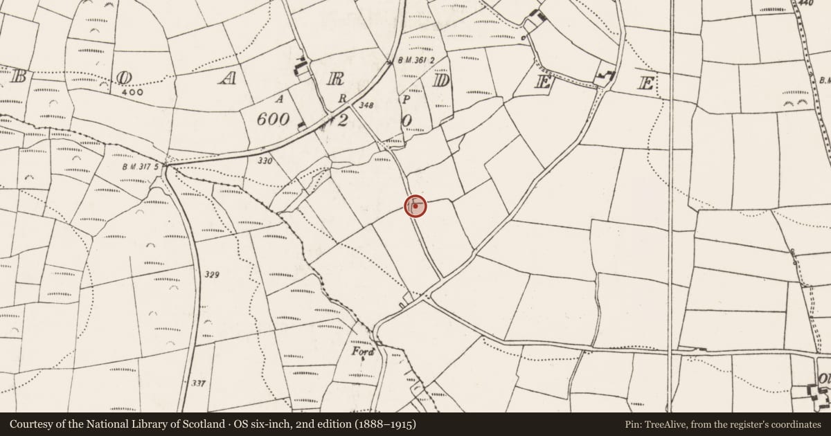 Ordnance Survey six-inch map, 2nd edition (1888–1915) covering the location of Ringfort - rath, Boardee, County Cork, with a pin at the register's coordinates