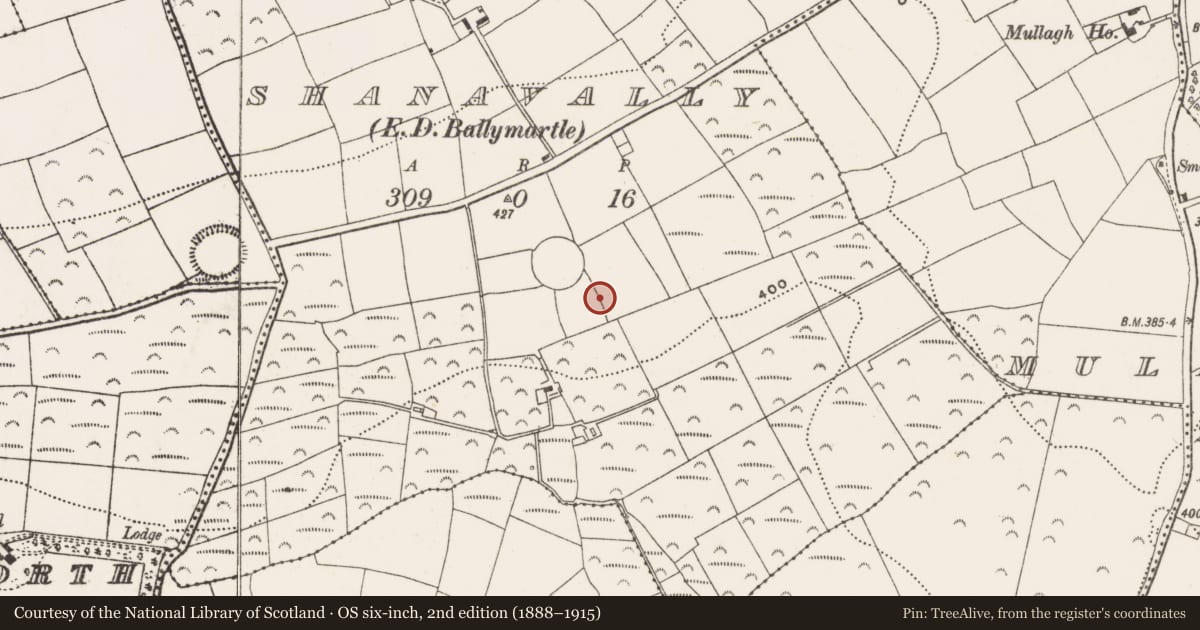 Ordnance Survey six-inch map, 2nd edition (1888–1915) covering the location of Mass-rock, Shanavally (Kinalea By., Ballymartle Par.), County Cork, with a pin at the register's coordinates