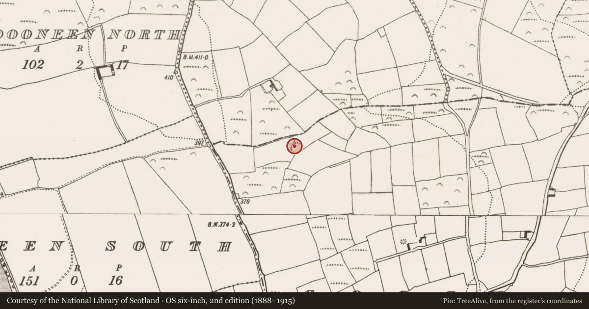 Ordnance Survey six-inch map, 2nd edition (1888–1915) covering the location of Ringfort - rath, Coolcarron, County Cork, with a pin at the register's coordinates