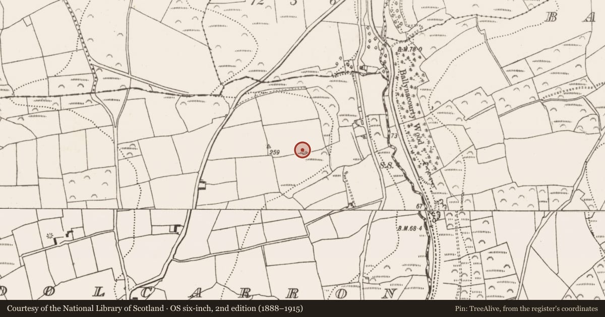 Ordnance Survey six-inch map, 2nd edition (1888–1915) covering the location of Quarry, Coolcarron, County Cork, with a pin at the register's coordinates