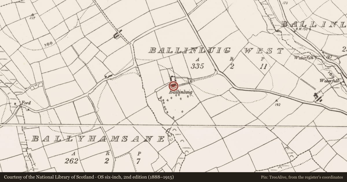 Ordnance Survey six-inch map, 2nd edition (1888–1915) covering the location of Country house, Ballinluig West, County Cork, with a pin at the register's coordinates
