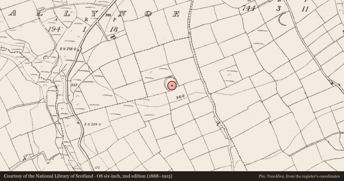 Ordnance Survey six-inch map, 2nd edition (1888–1915) covering the location of Ringfort - rath, Ballinluig East, County Cork, with a pin at the register's coordinates