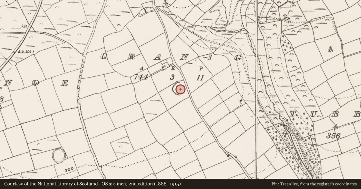 Ordnance Survey six-inch map, 2nd edition (1888–1915) covering the location of Ringfort - rath, Granig, County Cork, with a pin at the register's coordinates