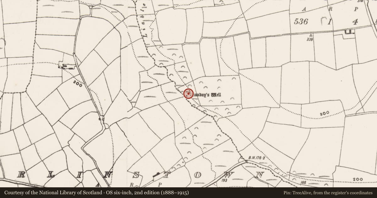 Ordnance Survey six-inch map, 2nd edition (1888–1915) covering the location of Ritual site - holy well, Fahanalooscane, County Cork, with a pin at the register's coordinates
