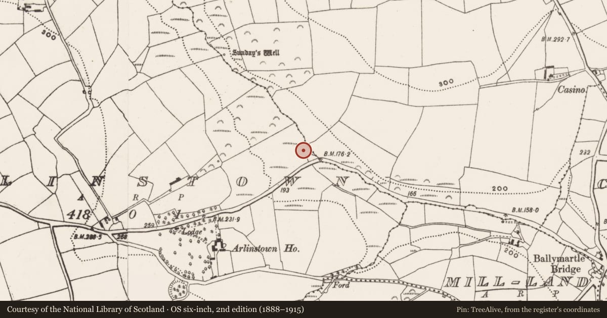Ordnance Survey six-inch map, 2nd edition (1888–1915) covering the location of Fulacht fia, Arlinstown, County Cork, with a pin at the register's coordinates