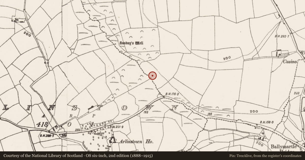 Ordnance Survey six-inch map, 2nd edition (1888–1915) covering the location of Fulacht fia, Fahanalooscane, County Cork, with a pin at the register's coordinates