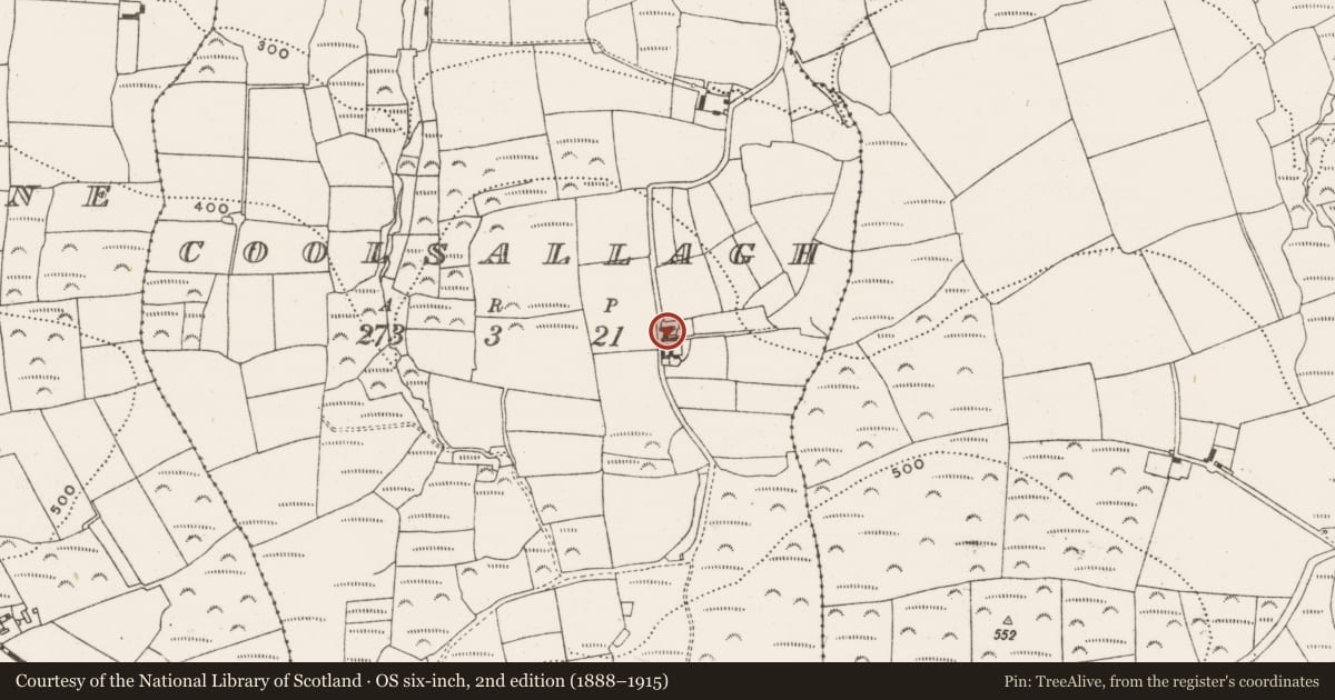 Ordnance Survey six-inch map, 2nd edition (1888–1915) covering the location of House - vernacular house, Coolsallagh, County Cork, with a pin at the register's coordinates