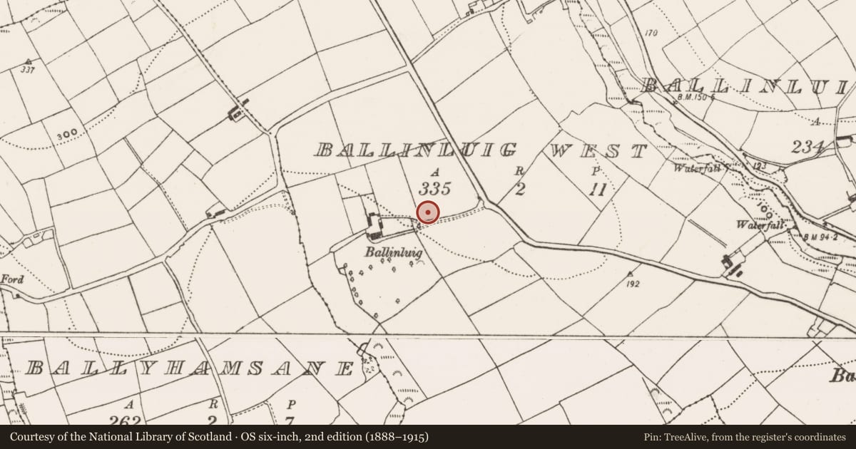Ordnance Survey six-inch map, 2nd edition (1888–1915) covering the location of Cist, Ballinluig West, County Cork, with a pin at the register's coordinates