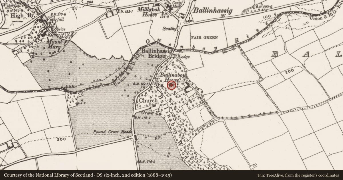 Ordnance Survey six-inch map, 2nd edition (1888–1915) covering the location of Castle - unclassified, Ballinaboy, County Cork, with a pin at the register's coordinates