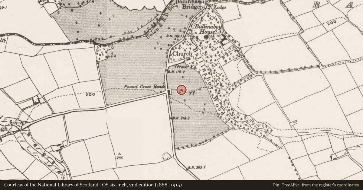 Ordnance Survey six-inch map, 2nd edition (1888–1915) covering the location of Settlement deserted - medieval, Ballinaboy, County Cork, with a pin at the register's coordinates