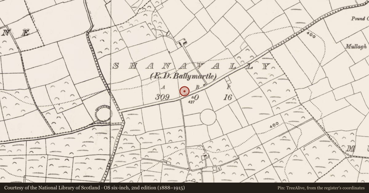 Ordnance Survey six-inch map, 2nd edition (1888–1915) covering the location of Burial ground, Shanavally (Kinalea By., Ballymartle Par.), County Cork, with a pin at the register's coordinates