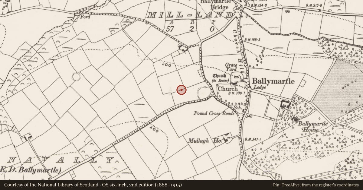 Ordnance Survey six-inch map, 2nd edition (1888–1915) covering the location of Enclosure, Shanavally (Kinalea By., Ballymartle Par.), County Cork, with a pin at the register's coordinates