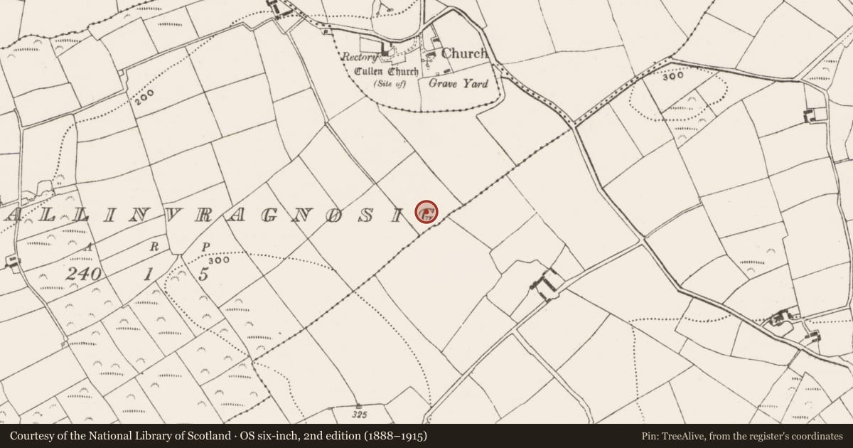Ordnance Survey six-inch map, 2nd edition (1888–1915) covering the location of Fulacht fia, Ballinvragnosig, County Cork, with a pin at the register's coordinates