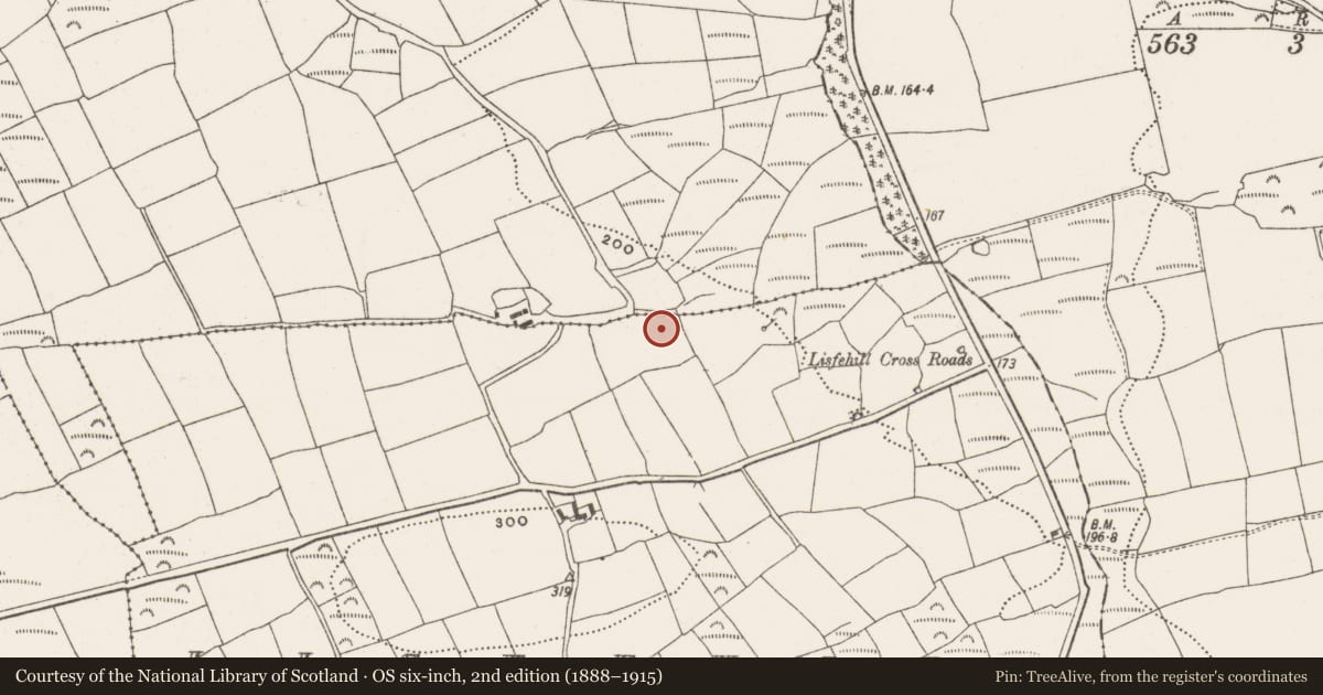 Ordnance Survey six-inch map, 2nd edition (1888–1915) covering the location of Fulacht fia, Lisfehill, County Cork, with a pin at the register's coordinates
