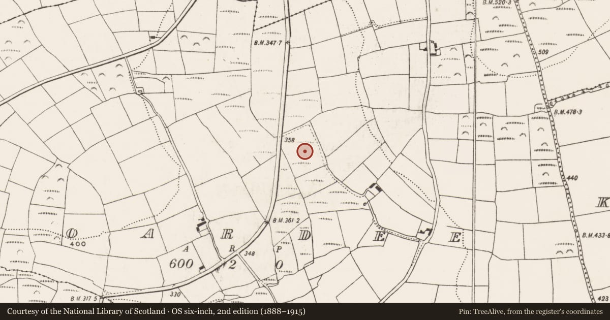 Ordnance Survey six-inch map, 2nd edition (1888–1915) covering the location of Standing stone, Boardee, County Cork, with a pin at the register's coordinates