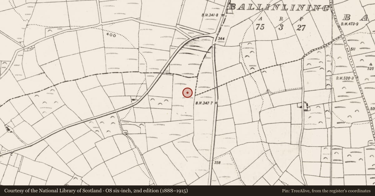Ordnance Survey six-inch map, 2nd edition (1888–1915) covering the location of Standing stone, Boardee, County Cork, with a pin at the register's coordinates