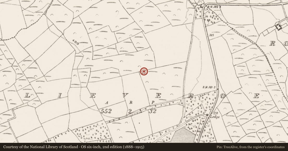 Ordnance Survey six-inch map, 2nd edition (1888–1915) covering the location of Standing stone, Slieveroe, County Cork, with a pin at the register's coordinates