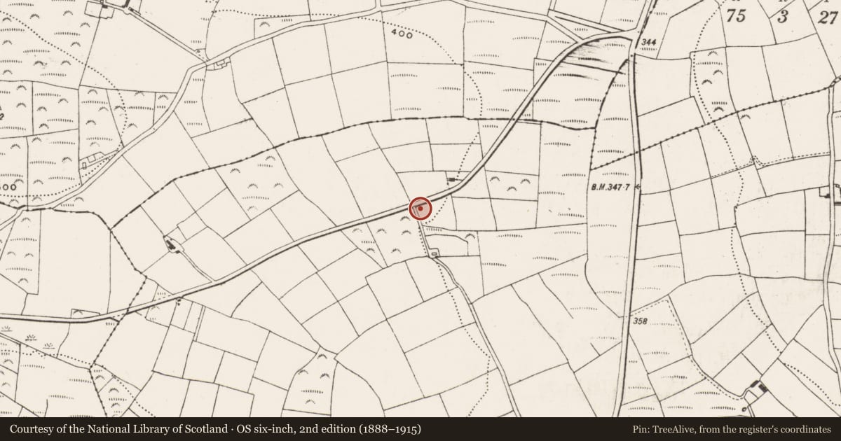 Ordnance Survey six-inch map, 2nd edition (1888–1915) covering the location of Standing stone, Boardee, County Cork, with a pin at the register's coordinates