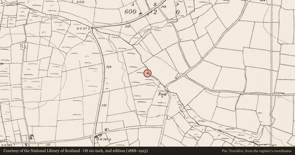 Ordnance Survey six-inch map, 2nd edition (1888–1915) covering the location of Standing stone, Boardee, County Cork, with a pin at the register's coordinates