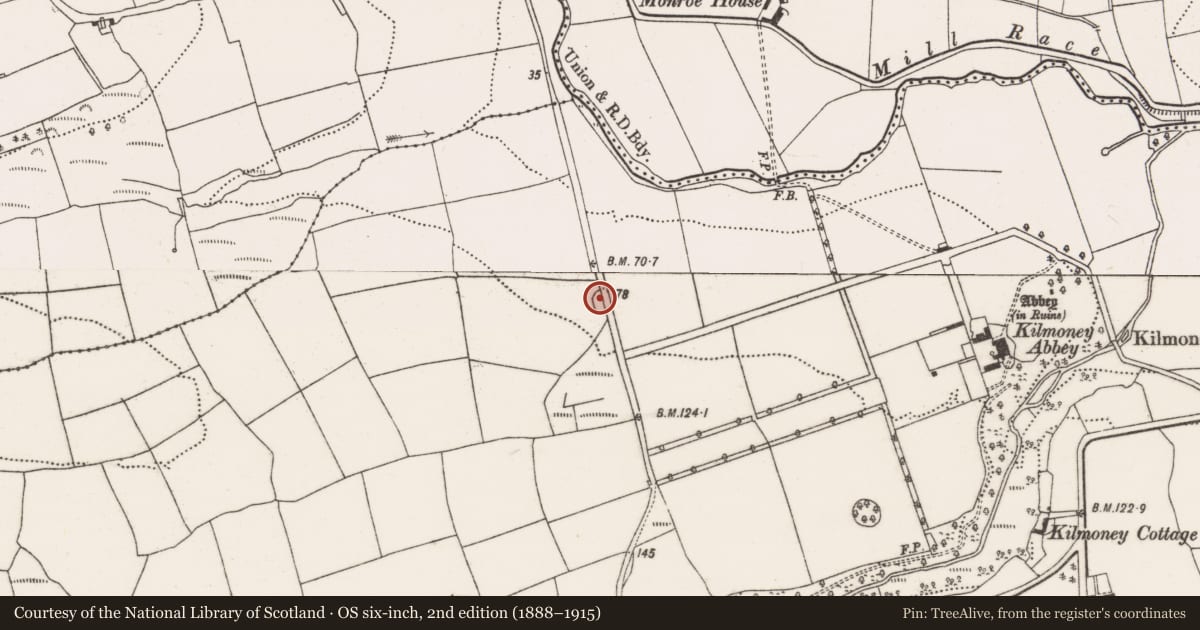 Ordnance Survey six-inch map, 2nd edition (1888–1915) covering the location of Ringfort - rath, Kilmoney, County Cork, with a pin at the register's coordinates