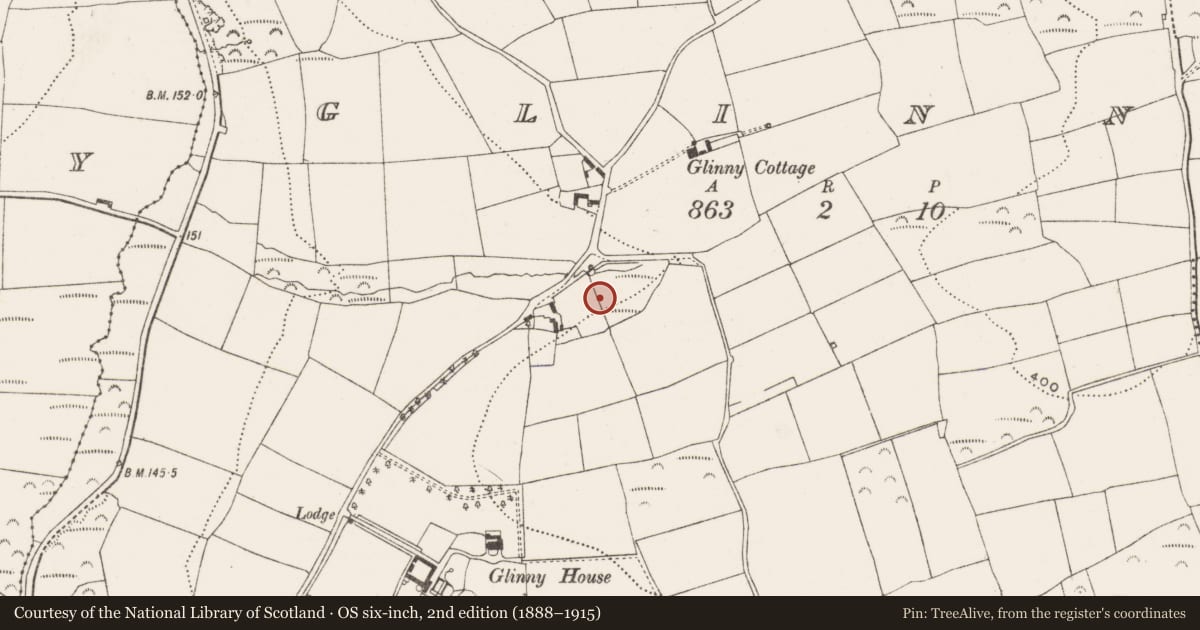 Ordnance Survey six-inch map, 2nd edition (1888–1915) covering the location of Standing stone, Glinny, County Cork, with a pin at the register's coordinates