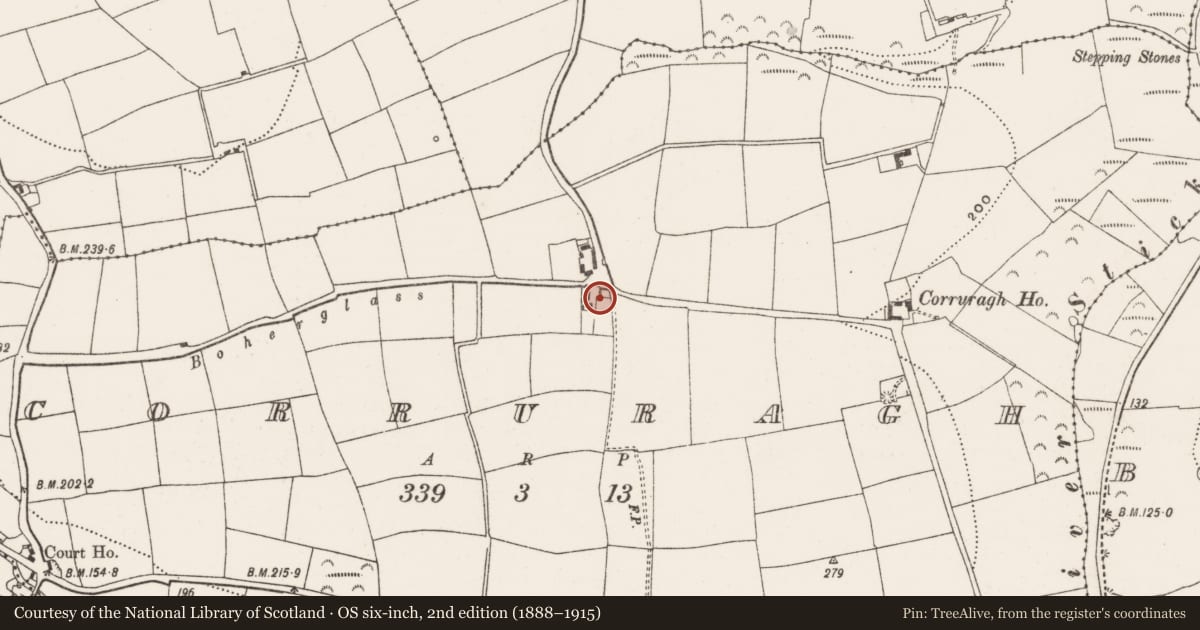 Ordnance Survey six-inch map, 2nd edition (1888–1915) covering the location of Cross-inscribed stone (present location), Corruragh, County Cork, with a pin at the register's coordinates