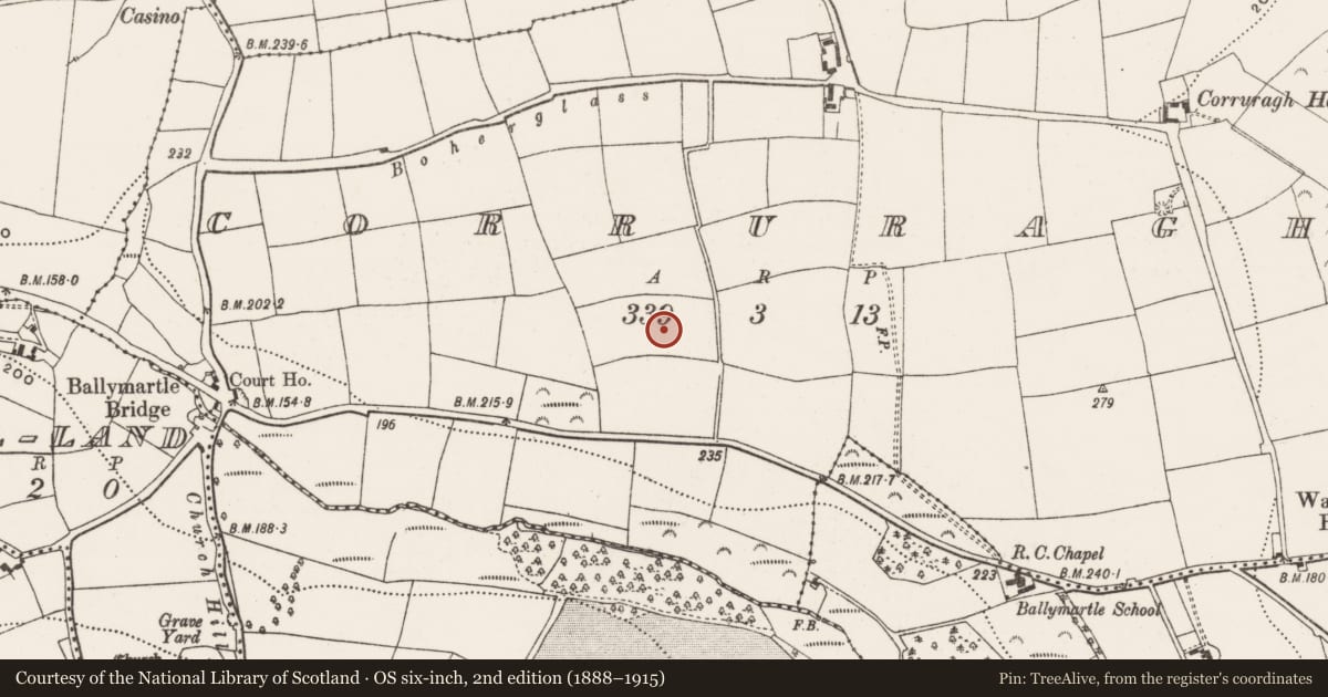 Ordnance Survey six-inch map, 2nd edition (1888–1915) covering the location of Mass-rock, Corruragh, County Cork, with a pin at the register's coordinates