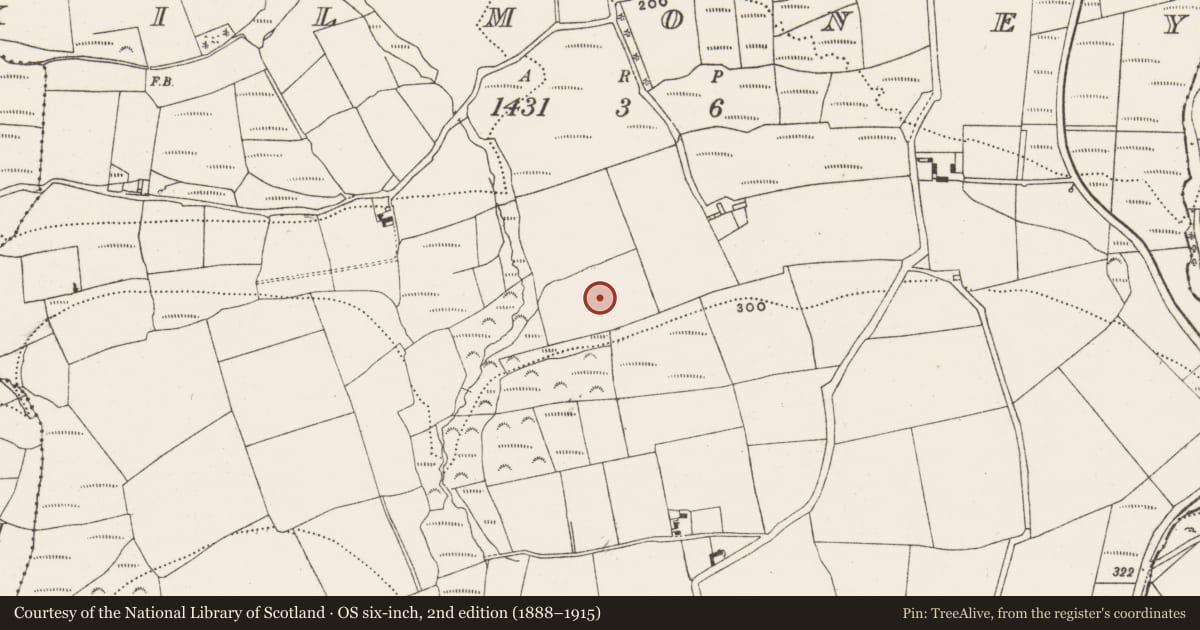 Ordnance Survey six-inch map, 2nd edition (1888–1915) covering the location of Fulacht fia, Kilmoney, County Cork, with a pin at the register's coordinates
