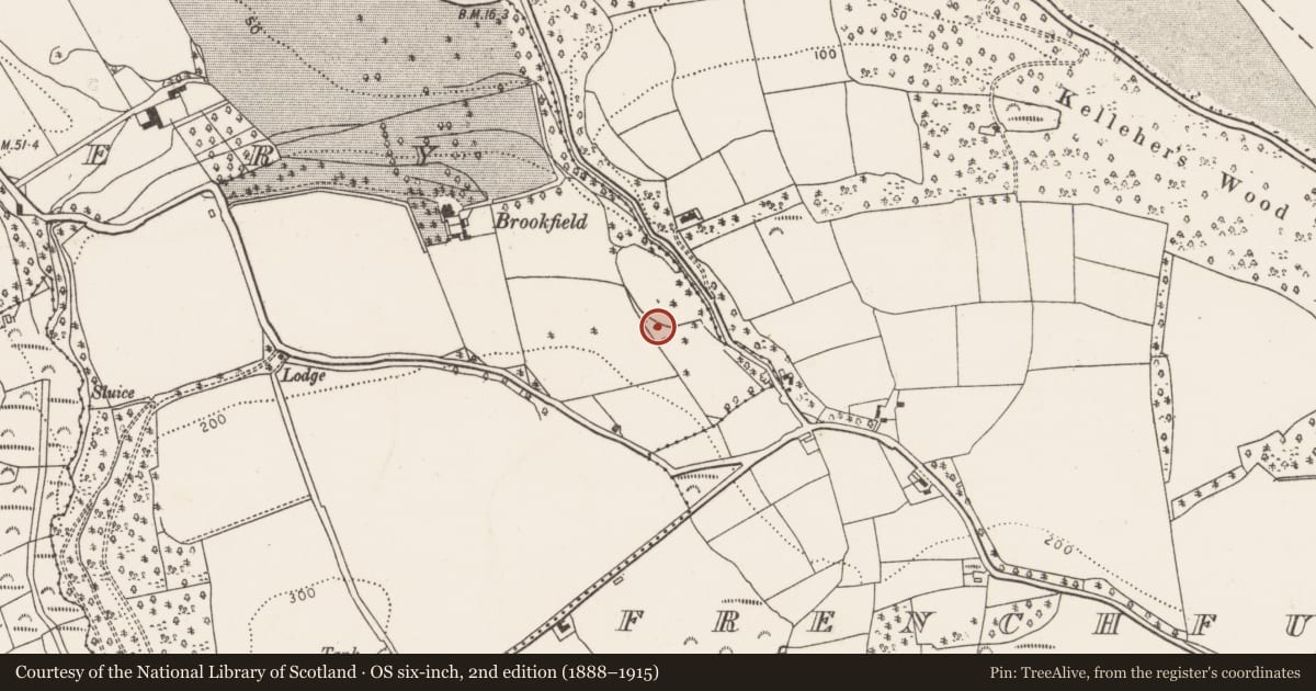 Ordnance Survey six-inch map, 2nd edition (1888–1915) covering the location of Fulacht fia, Kilnaglery, County Cork, with a pin at the register's coordinates