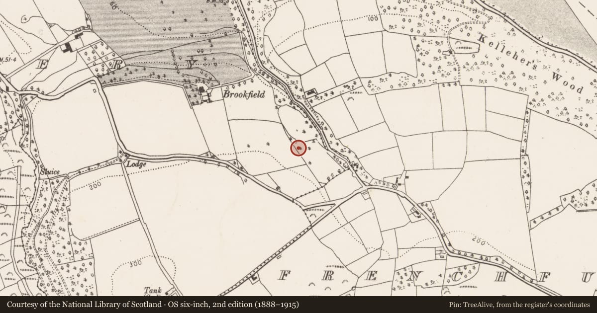 Ordnance Survey six-inch map, 2nd edition (1888–1915) covering the location of Fulacht fia, Kilnaglery, County Cork, with a pin at the register's coordinates
