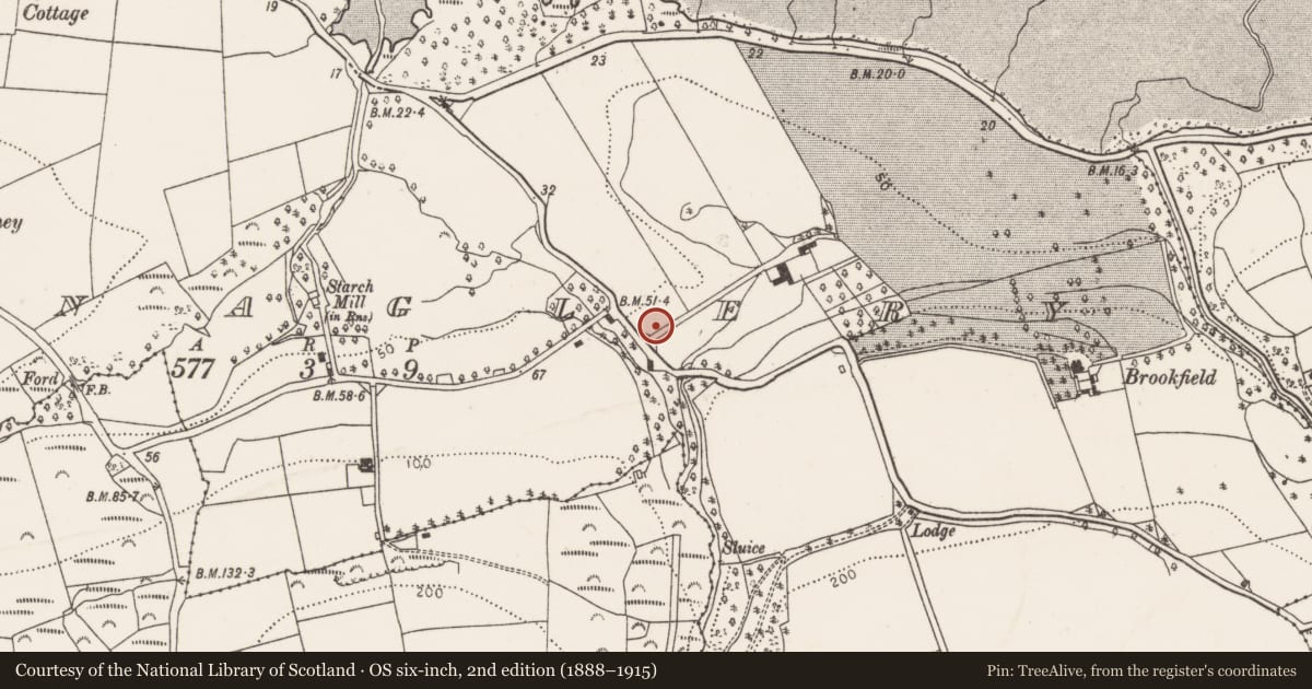 Ordnance Survey six-inch map, 2nd edition (1888–1915) covering the location of Church, Kilnaglery, County Cork, with a pin at the register's coordinates
