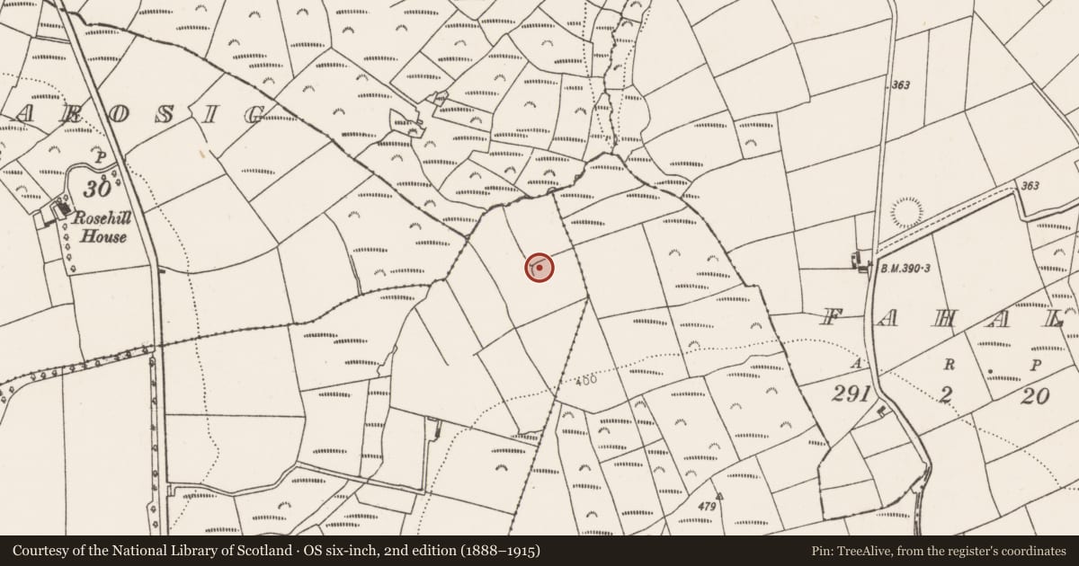 Ordnance Survey six-inch map, 2nd edition (1888–1915) covering the location of Earthwork, Knockatoor, County Cork, with a pin at the register's coordinates