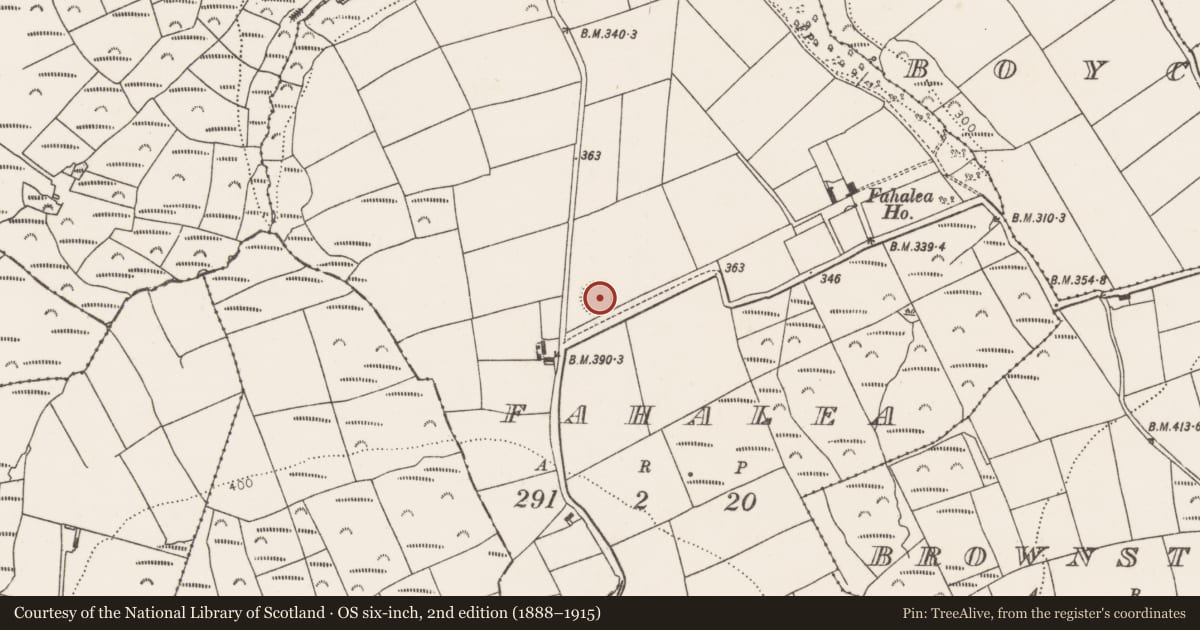 Ordnance Survey six-inch map, 2nd edition (1888–1915) covering the location of Ringfort - rath, Fahalea, County Cork, with a pin at the register's coordinates