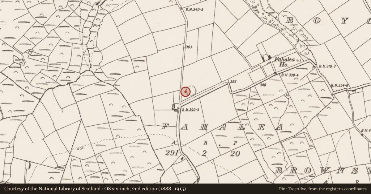 Ordnance Survey six-inch map, 2nd edition (1888–1915) covering the location of Souterrain, Fahalea, County Cork, with a pin at the register's coordinates