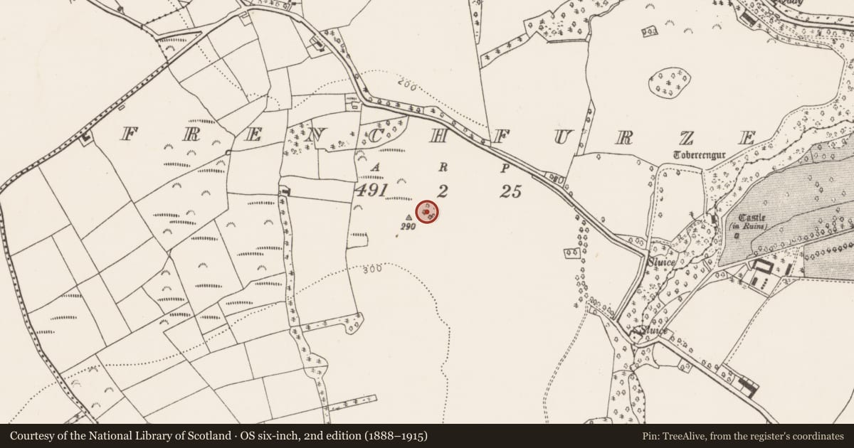 Ordnance Survey six-inch map, 2nd edition (1888–1915) covering the location of Enclosure, Frenchfurze, County Cork, with a pin at the register's coordinates