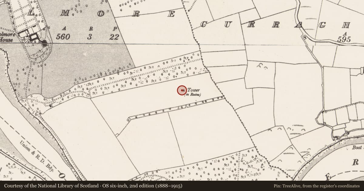 Ordnance Survey six-inch map, 2nd edition (1888–1915) covering the location of Designed landscape - belvedere, Coolmore, County Cork, with a pin at the register's coordinates