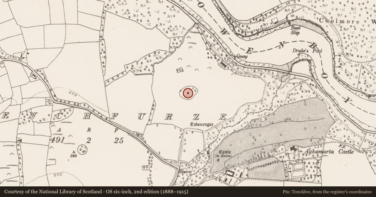 Ordnance Survey six-inch map, 2nd edition (1888–1915) covering the location of Enclosure, Frenchfurze, County Cork, with a pin at the register's coordinates