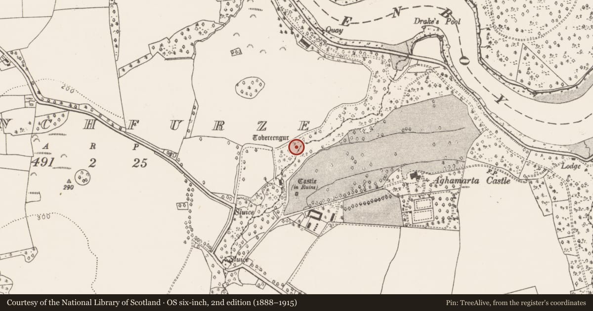 Ordnance Survey six-inch map, 2nd edition (1888–1915) covering the location of Ritual site - holy well, Frenchfurze, County Cork, with a pin at the register's coordinates