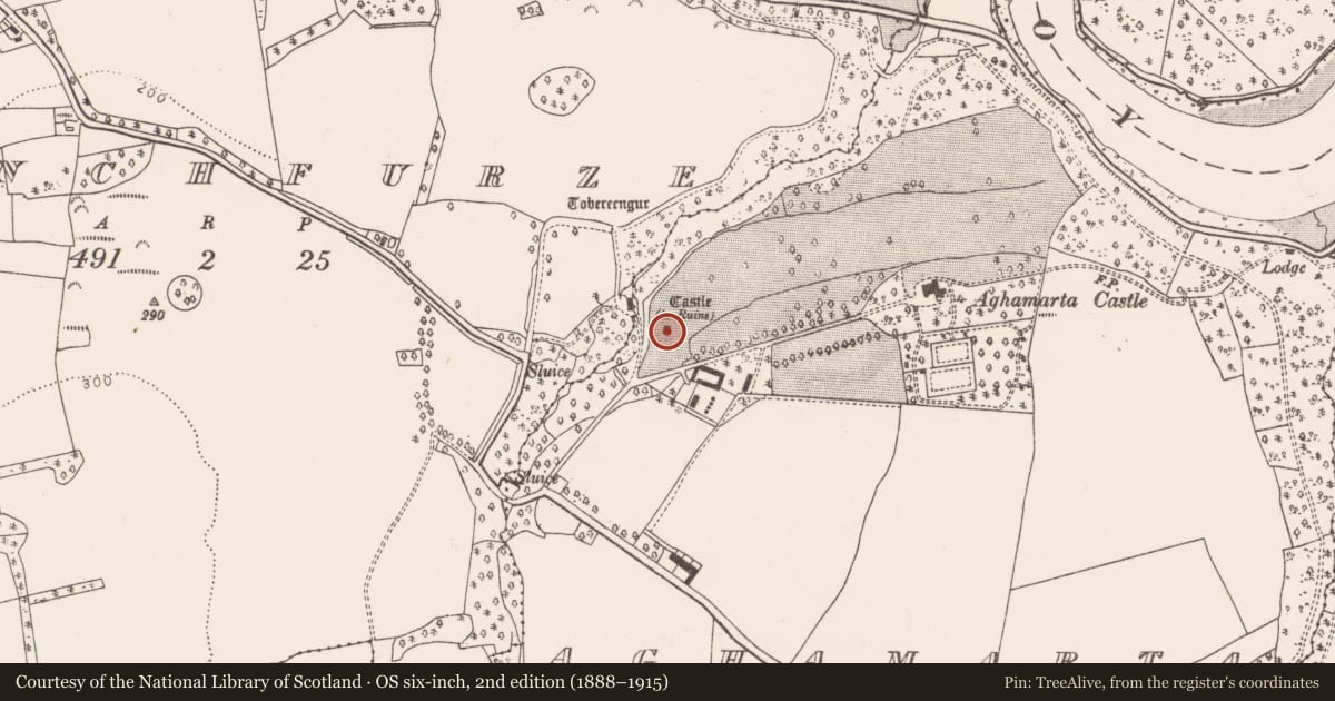 Ordnance Survey six-inch map, 2nd edition (1888–1915) covering the location of Castle - tower house, Aghamarta, County Cork, with a pin at the register's coordinates