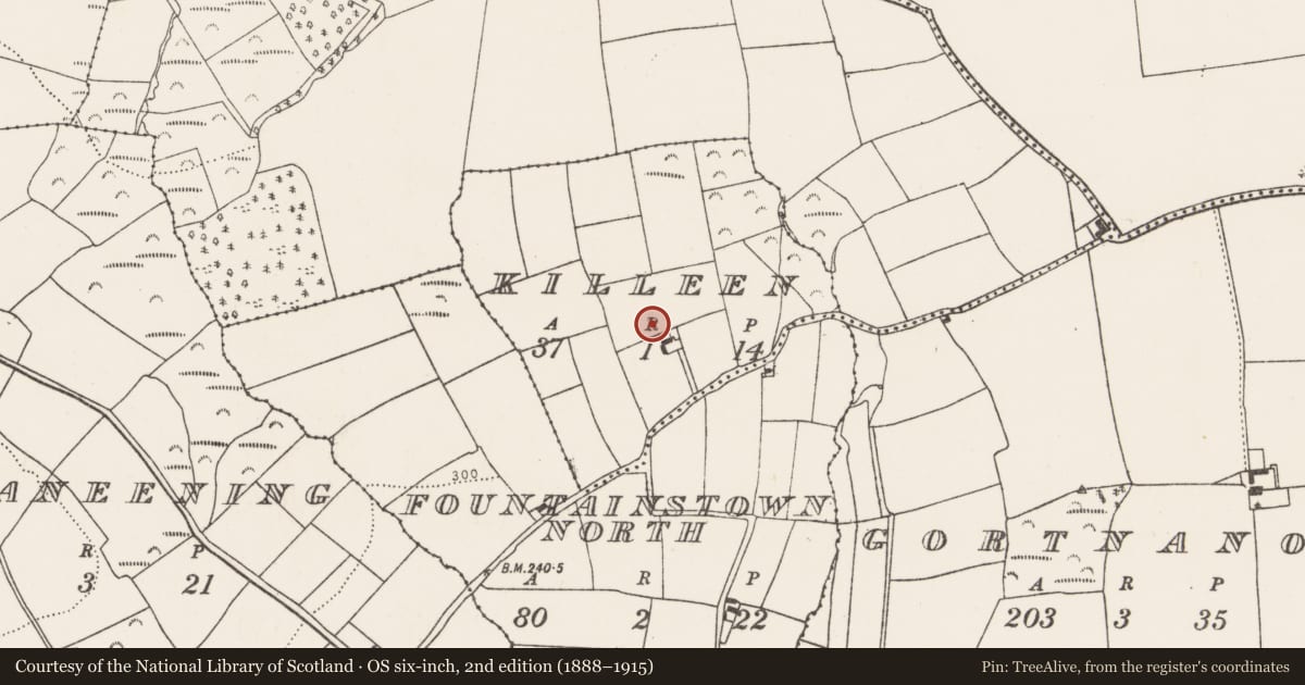 Ordnance Survey six-inch map, 2nd edition (1888–1915) covering the location of Souterrain, Killeen, County Cork, with a pin at the register's coordinates