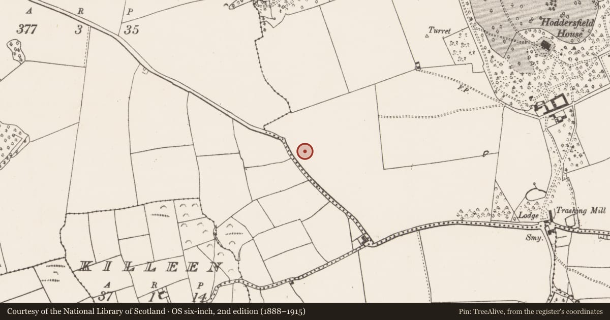 Ordnance Survey six-inch map, 2nd edition (1888–1915) covering the location of Standing stone, Hoddersfield, County Cork, with a pin at the register's coordinates