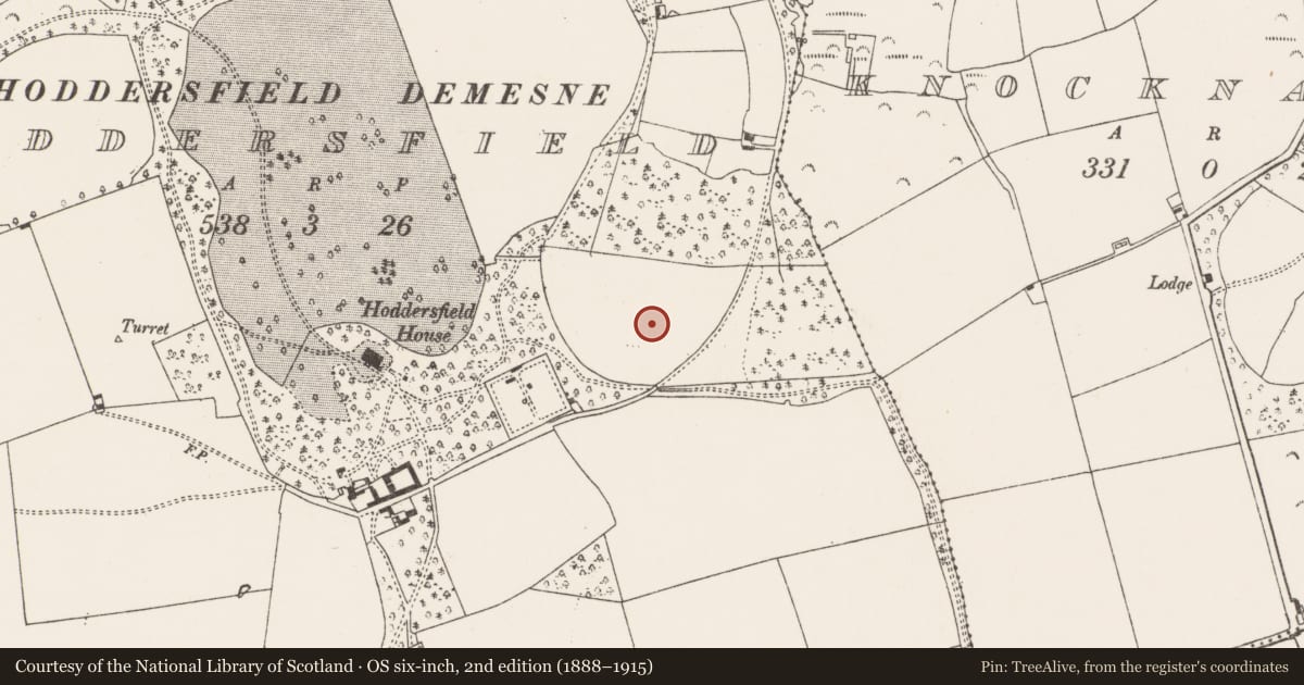 Ordnance Survey six-inch map, 2nd edition (1888–1915) covering the location of Fulacht fia, Hoddersfield, County Cork, with a pin at the register's coordinates