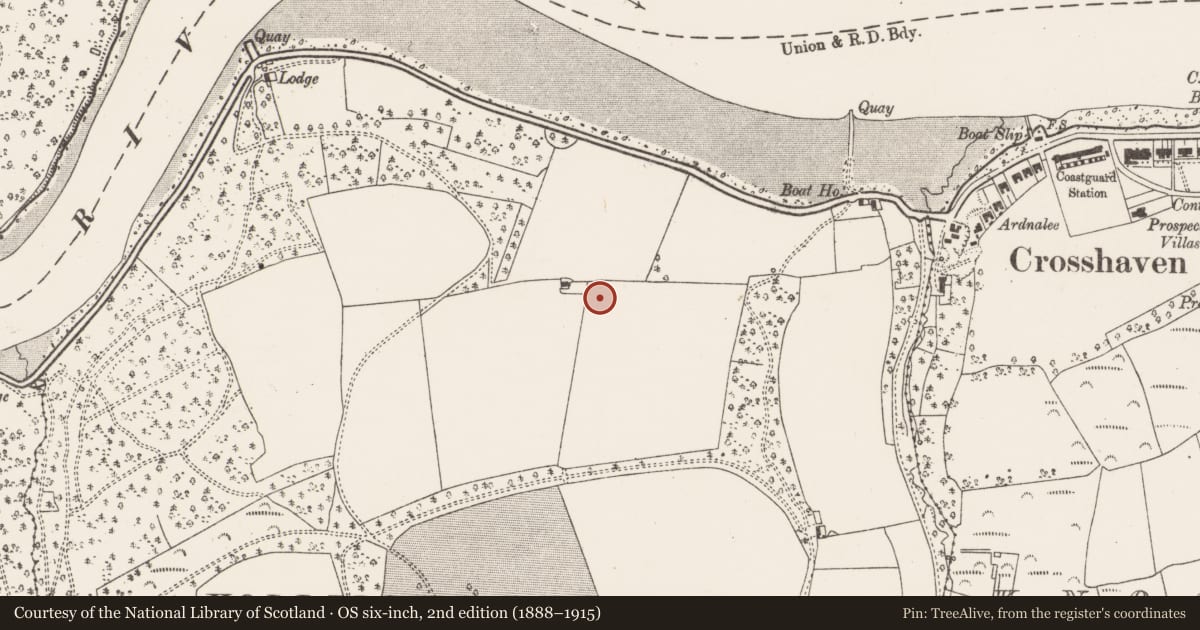 Ordnance Survey six-inch map, 2nd edition (1888–1915) covering the location of Enclosure, Hoddersfield, County Cork, with a pin at the register's coordinates