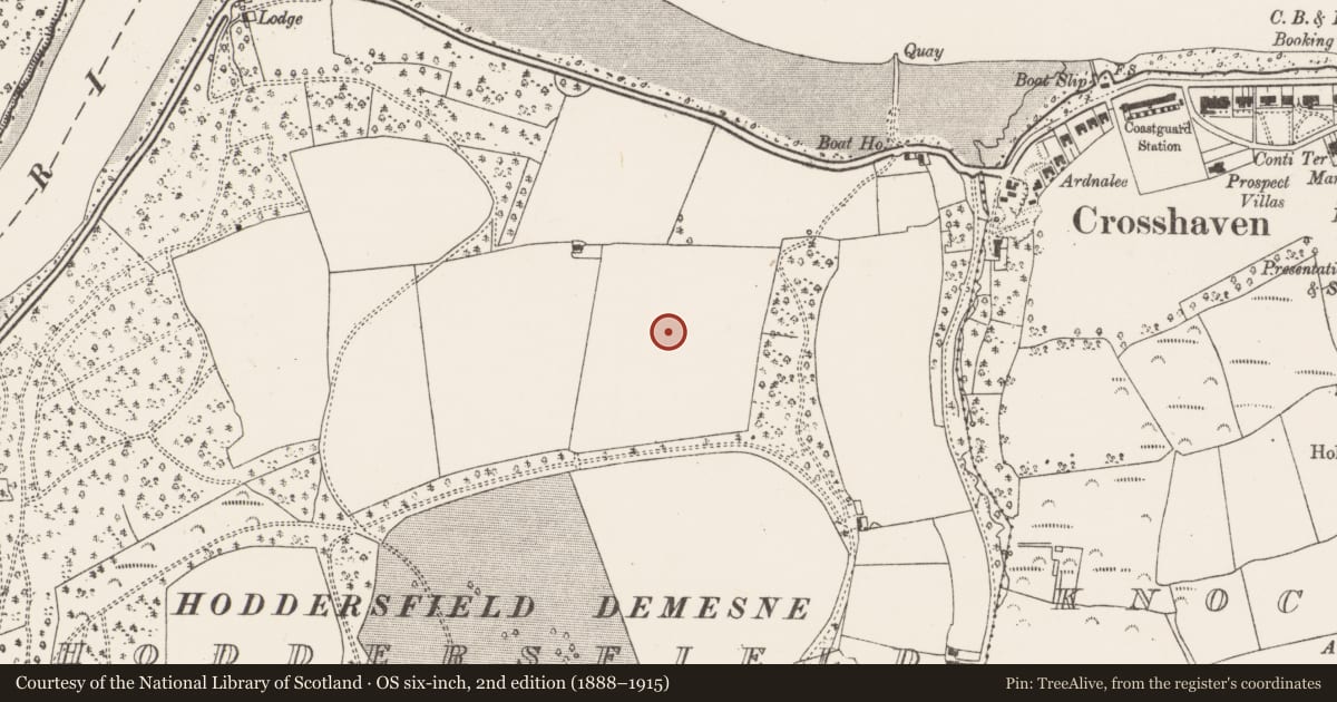 Ordnance Survey six-inch map, 2nd edition (1888–1915) covering the location of Fulacht fia, Hoddersfield, County Cork, with a pin at the register's coordinates