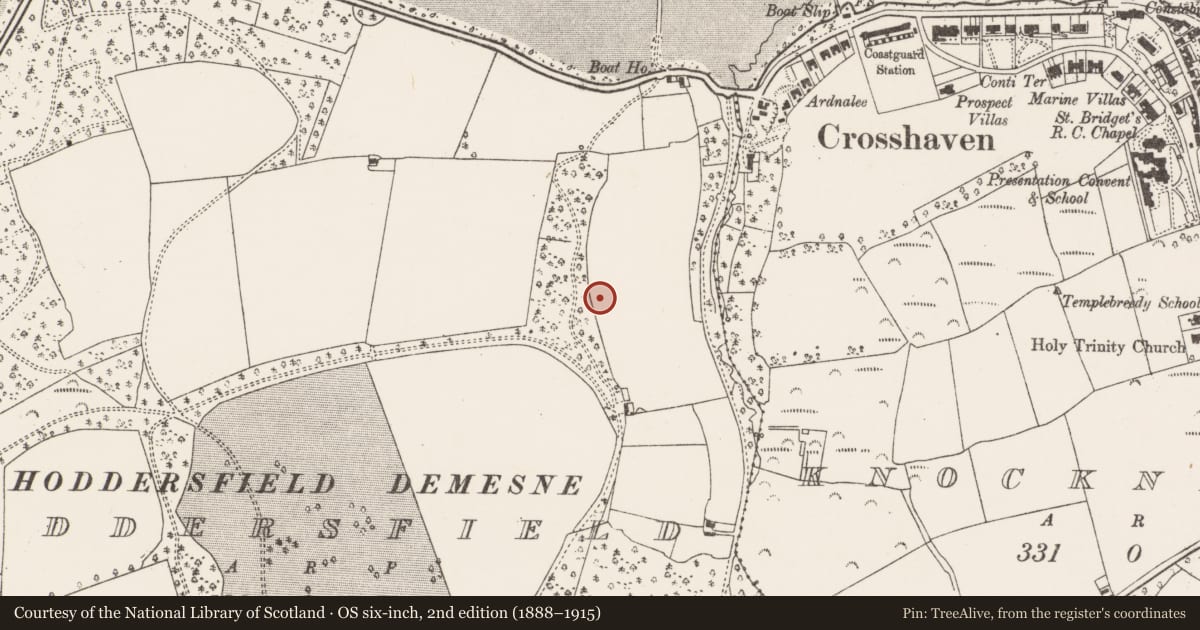 Ordnance Survey six-inch map, 2nd edition (1888–1915) covering the location of Ringfort - rath, Hoddersfield, County Cork, with a pin at the register's coordinates