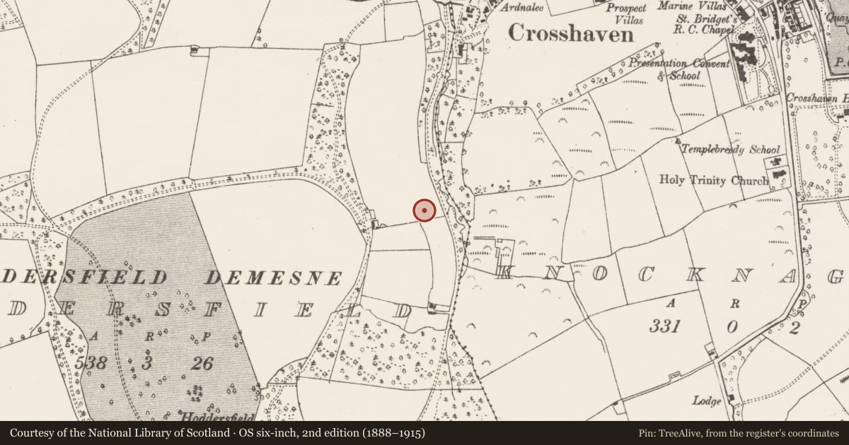 Ordnance Survey six-inch map, 2nd edition (1888–1915) covering the location of Slab-lined burial, Hoddersfield, County Cork, with a pin at the register's coordinates