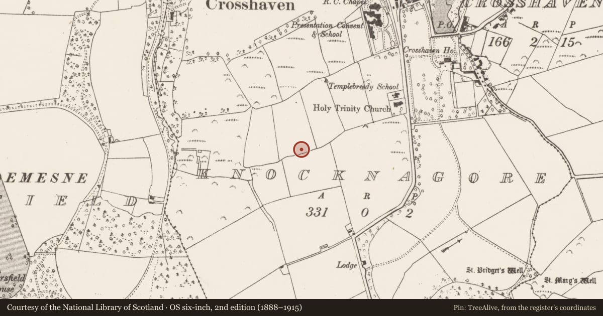Ordnance Survey six-inch map, 2nd edition (1888–1915) covering the location of Ringfort - rath, Knocknagore, County Cork, with a pin at the register's coordinates